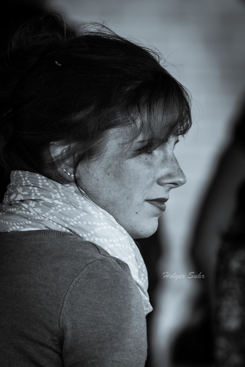 Bild 104 - Wiemersdorfer Maibaum